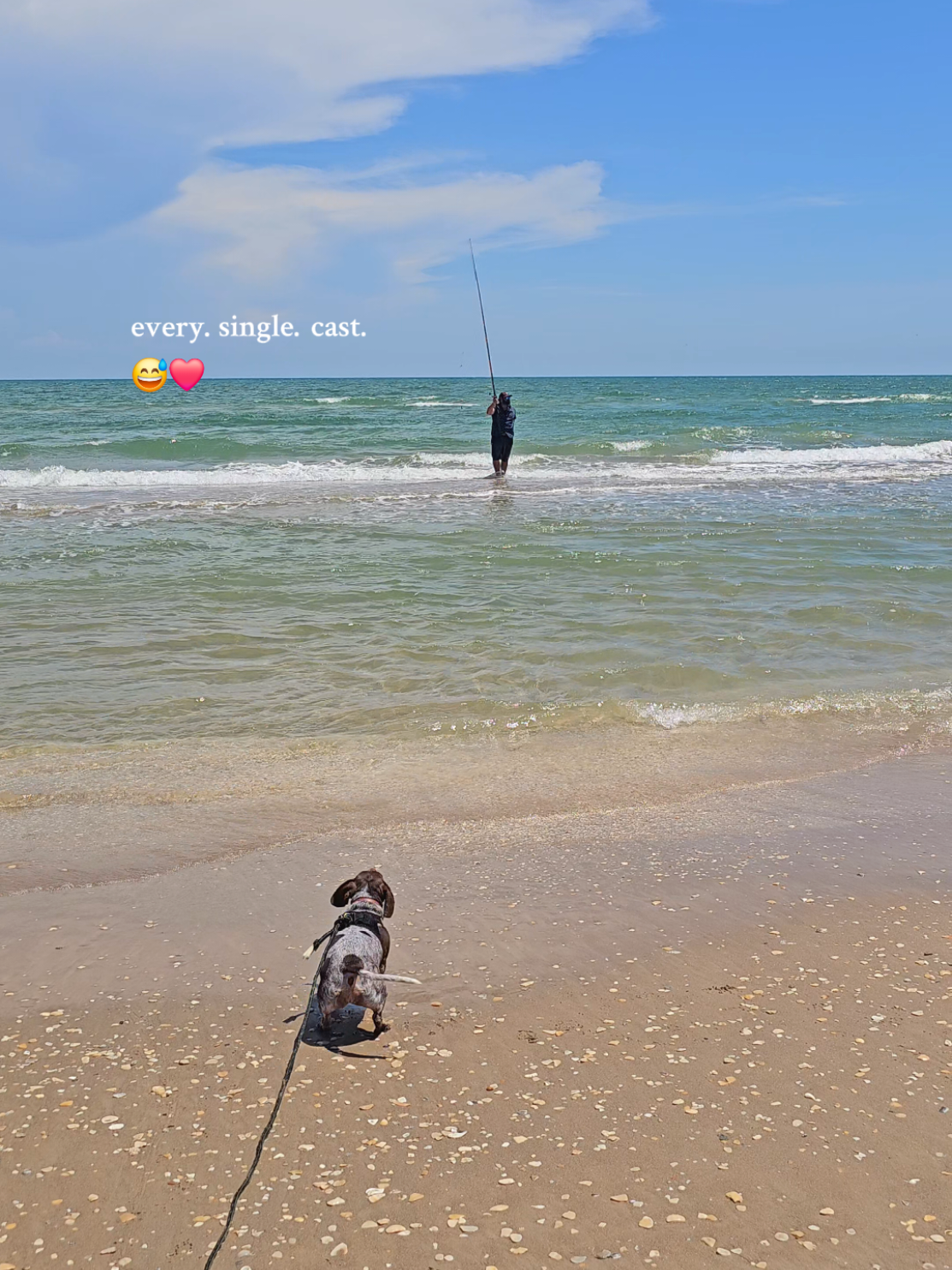 Replying to @jodilynne74 my silly little Lilly Lou ❤️🌊🎣🤙🏼 #minidachshundsoftiktok #beachfishing #surffishing #fishingwithmydog #saltwaterfishing 