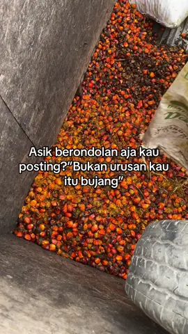 Infokan brd aja lek🤩@bangdenn @Juan_jonathan mnl @𝘿𝘼𝙁𝙁𝘼.𝘼𝙎𝙔𝙄𝙇𝙇𝘼 @sahyoza_ke2🀄️ @Bisri_oliver77 @Bg Neng @sayaaaarill #berondolanbalap #brd #berondolan #sawit #riau 