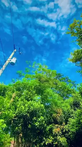 #ExploreMore #TikTokBangladesh #TrendingNow #Viral #ForYou @everyone support me please...... @TikTok 