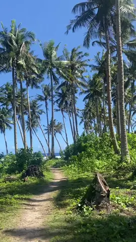 Lost in the camera roll. 🥹  #siargaoisland #beach #generallunasiargao #palmtrees #fyp 