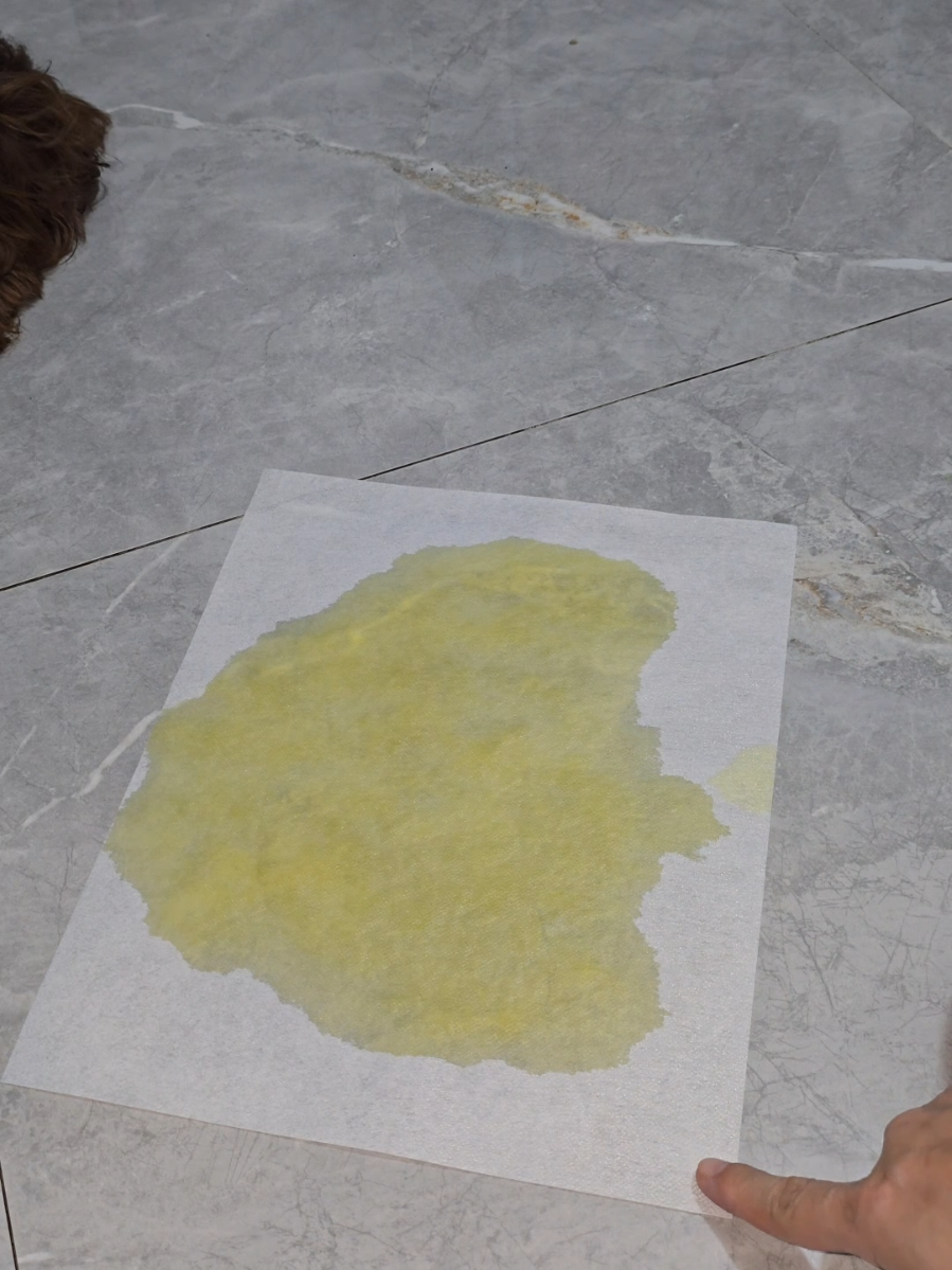 Magic Pet Training Pad Pee Pad #peepad #pettrainingpad #dogpeepad #magicpeepads 