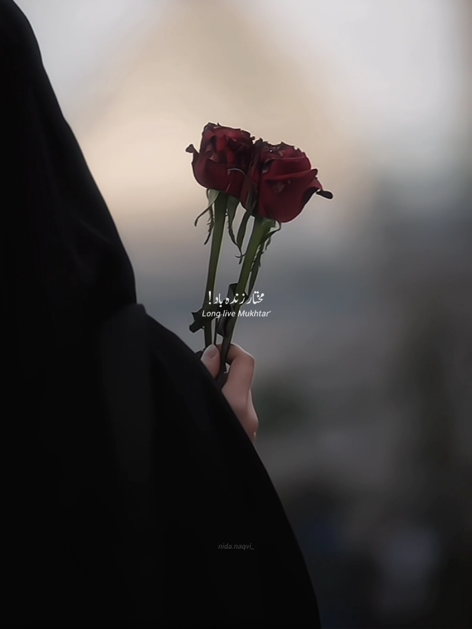 Mukhtarؑ zindabaad! #eidezahra #imamsajjad #karbala #yahussain #fyp 