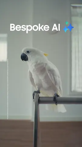 Got your hands full with ingredients and struggling to open the fridge? Just say the word! Your fridge is listening. It’s so easy, even your parrot might try to help. Meet the Bespoke AI Refrigerator that opens with your voice. #LifeHacks #AutoOpenDoor #BespokeAIRefrigerator #BespokeAI #SamsungBespoke #Samsung