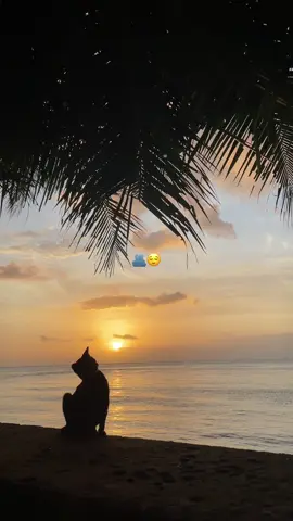 🌅😇#fyppppppppppppppppppppppp 