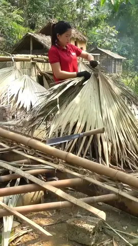 TIMELAPSE: 45 Days of Building the Perfect House from Wood, Bricks and Cement \From Start to Finish
