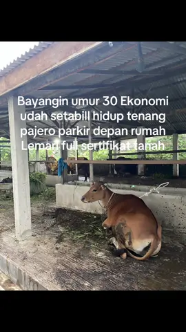 #katakata #fyp #peternakmuda🐃🐂🐃 #sawitriau 