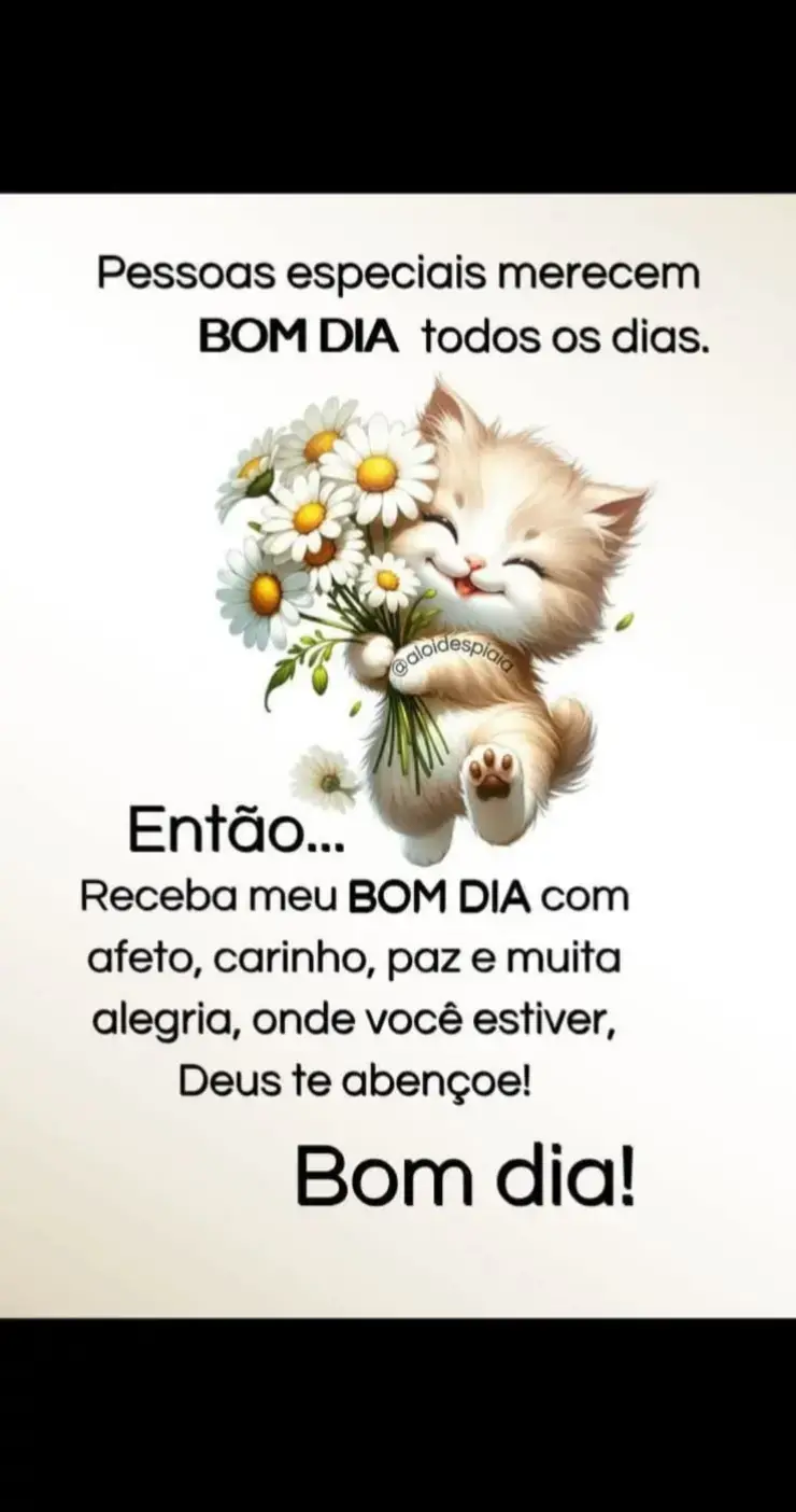 #naodesista #bomdiadeus #obrigadodeus #gratidao #fyp 