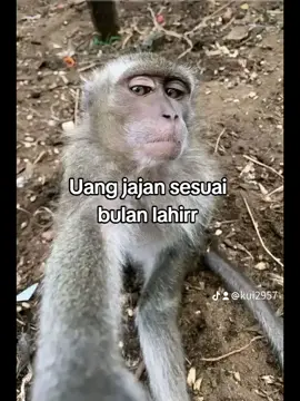 uang jajan 💰💰
