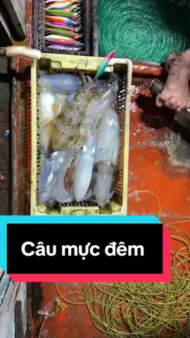 Hành trình đi biển 1 mình (câu mực đêm)#hoangloc #viral #viralvideo #biendong 