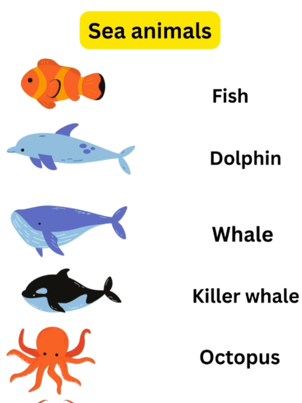 sea animals in English  #learnenglish  #englishvocabulary  #englishpractice  #fyp  #foryou 