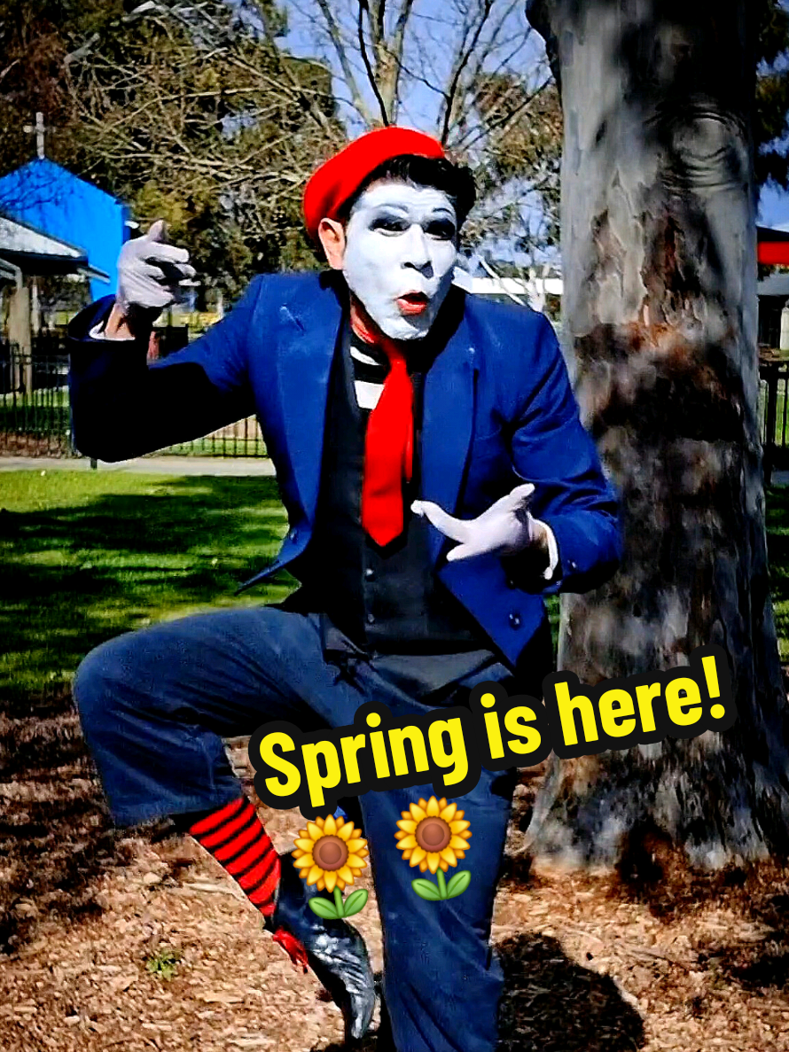 Spring is definitely here in Australia 🇦🇺 🏵🪷🌼🌻🌺 A little video created before a school show 🎭🎶 #mime #spring #australia #hayfer #fyp 