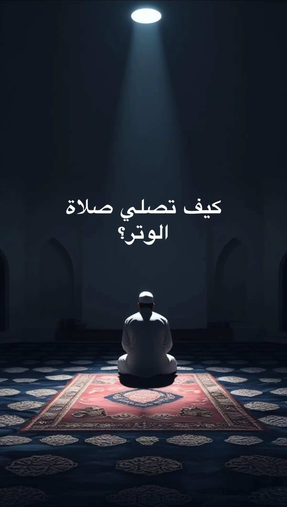 #صلاة_الوتر #لحمدلله_دائما_وابدا #صلوا_على_رسول_الله 