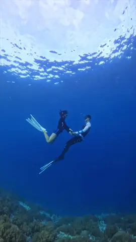 #freefire_lover #freedive 