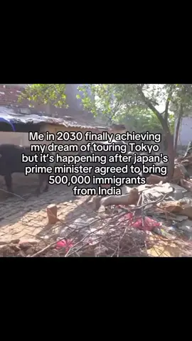 Me in 2030, finally achieving my dream of touring Japan, but it’s happening after the prime minister agreed to bring 500,000 immigrants from India#indiaimmigrants#japam#fvp#foryoupage#fy 