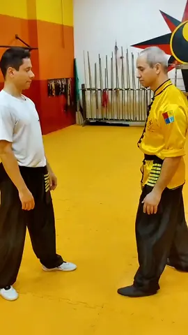 Arm Lock  chave de Braço  #tskf #kungfu #taichichuan  #chikung #wushu Tskf Equilíbrio em todos os sentidos!