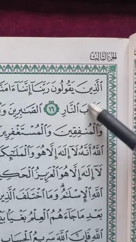 Surah Al-Imran 📖 🤍 #quran #quran_alkarim #fyp #fypシ #viral #tiktok #foryoupage #growmyaccount 