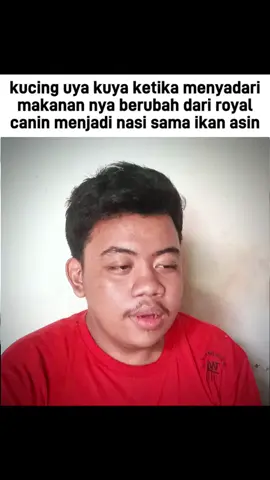 mana wiskas itu  #uyakuya #foryou #fyp #viral #meme 