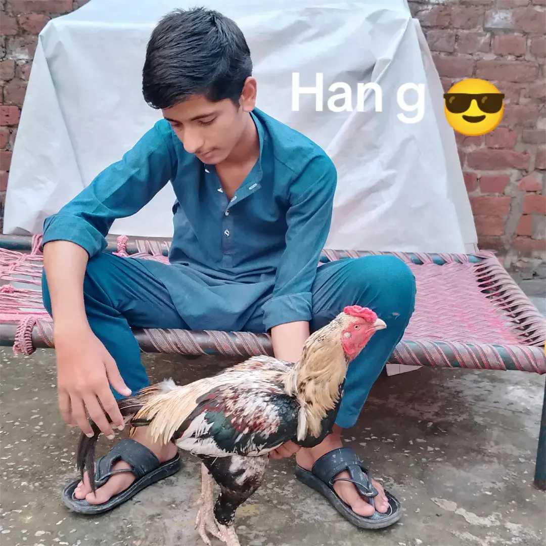 #faizanmehar979😎😎