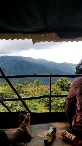 zô vườn mưa wá chả làm được gì ae ơi chị biết ngắm rừng núi thôi #49lamdong 