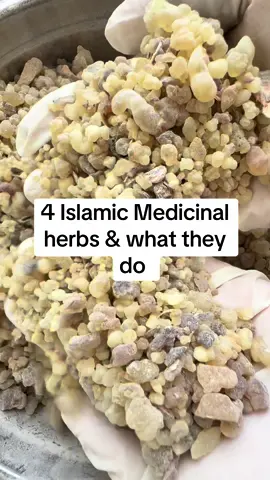 Shop these powerful Sunnah herbs now – link in bio.  Frankincense for focus & skin, Indian Qust for respiratory & digestive health, Sidr leaves for ruqyah & natural cleansing, and Senna for detox & colon support. #islamiceducation #islamichealing #herbs #frankincense  #sunnah 