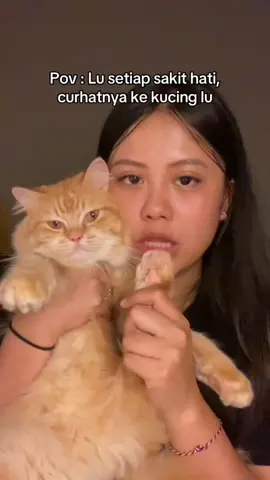 siapa yg kaya gini jg ? #cat #cats #catsoftiktok #kucingtiktok #catsvideo #catstory #kucinglucu #kucingoren #pecintakucing #kucinggemoy #catslovers #catsofinstagram 
