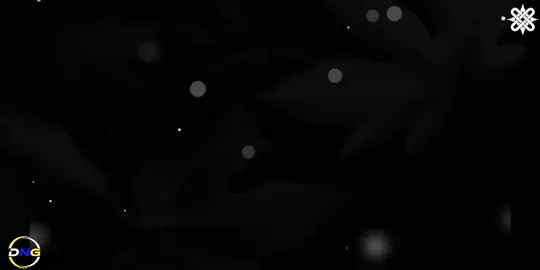 🥰🥰 #lyricshub #hausatiktok #tiktokviral #foryoupage #arewa__tiktok #viralvideos #CreateWithEffects 