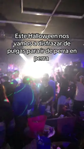 Es solo contenido JAJAJAJJAJAJA #paratiiiiiiiiiiiiiiiiiiiiiiiiiiiiiii #viral #guaracha #you #fyp 