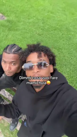Mamichula dimmi 