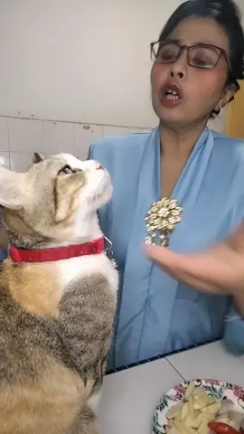 kali ini datang dengan ibu mentuaku..Korang boleh dapatkan juga makanan kucing kat beg kuning zura.murah tau,lagi satu si bulus mmg suka makanan dia ni.tak rugi tau beli utk sibulus.boleh juga direct dm atau ke tt @House of Qute Cat utk sebarang info.terimakasih support tt zura dan sibulus.semoga dimurahkan rezeki semua.amin.Assalamualaikum.#sibulusmona #berandatiktok #review #makanankucing #tiktokmalaysia 