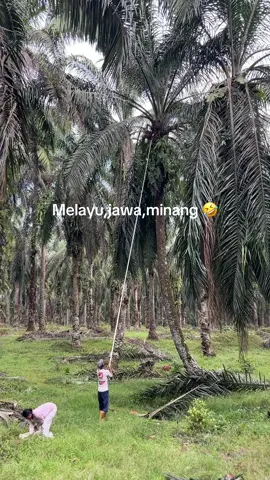 indak putui-putui🤣🤣 #fyp #xybca #masukberanda #fyppppppppppppppppppppppp #sawitsumatra #sawitontiktok #kulisawitmalaysia🌴🇲🇾🇮🇩 #kulisawit🌴 #sawitriau 