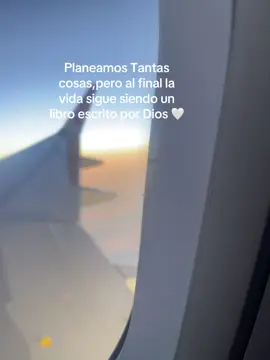 Dios 🤍 #ypfッ #atardecer #avion 