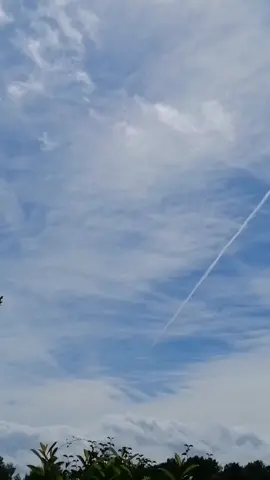 #chemtrails #ouvrelesyeux #eveildeconscience #verite #pourtoi 