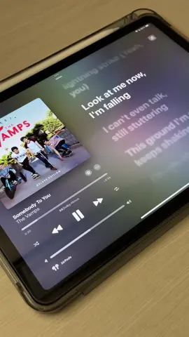 #노래추천 #thevamps #somebodytoyou #fyp #applemusic 