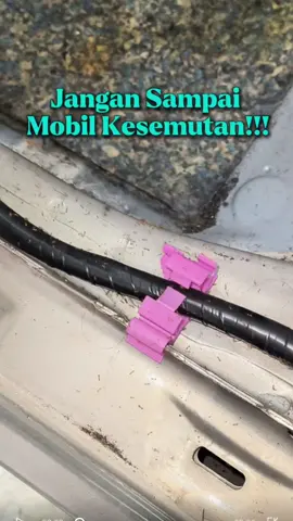 Jangan sampai mobil kamu jadi istana semut 😵‍💫 #wiselieindonesia #PromoGuncangSpesialGajian #PromoGuncang #Guncang88 #WIBGajian #WIBGuncang #PromoGuncangTokopedia #PromoGuncangTikTokShop #semut #basmisemut #antisemut #usirsemut #antisemut 