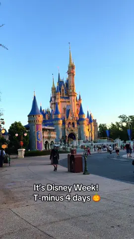 That feeling when your countdown is less than a week and you can feel the Disney magic seeping in!🥰 #fyp #disneyparks #disneytok #disneyworld #disneyadult 