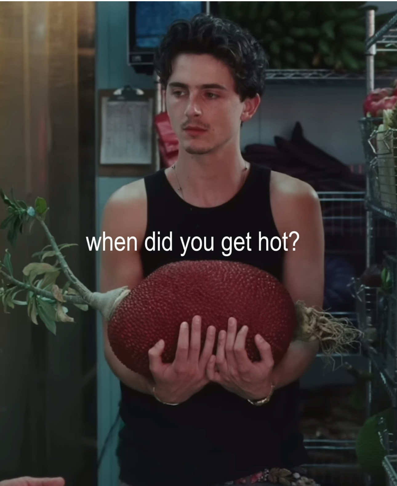 oh he’s BEEN hot. #timotheechalamet #mansbestfriend #sabrinacarpenter #timotheechalametedit #fyp 