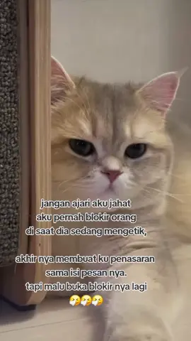 😅😅😅.   #trendingsong #fyppppppppppppppppppppppp #katalucu #bercanda #hiburantiktok 