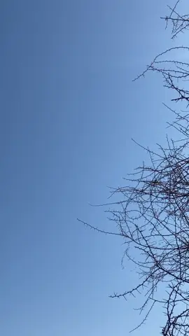 كم تقيمون هذي المناضر.؟
