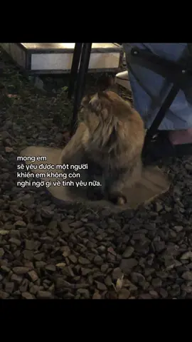 #fypシ゚ 