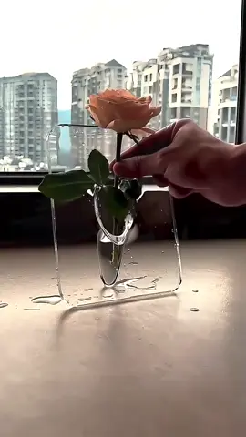 🌸🖼️ Add a unique touch to your space with this Acrylic Photo Frame Flower Vase — both a vase and a decorative photo frame in one! Perfect as a centerpiece for your home, room, or office. Minimalist, aesthetic, and totally IG-worthy. 😍✨ 🛒 Shop this stylish multitasker now via Prime Deal Finds PH — Link in bio! #cctovideo #HomeDecorPH #AestheticVase #PhotoFrameVase #MinimalistDecor #RoomMakeover #PrimeDealFindsPH #ShopeeFindsPH #ShopeePH #VaseDecor #IGWorthyDecor #ShopeeAffiliatesPH