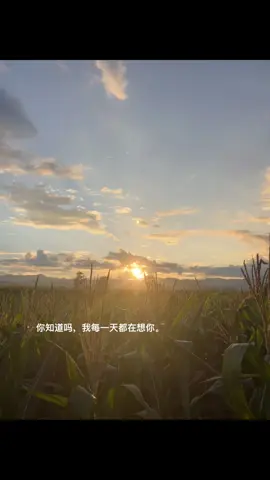 你知道吗，我每一天都在想你。#日落 #热门 