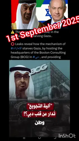 wannan UAE 🇦🇪  #viraltiktok #iran #viwes #pakistani_tik_tok #viralvideos 