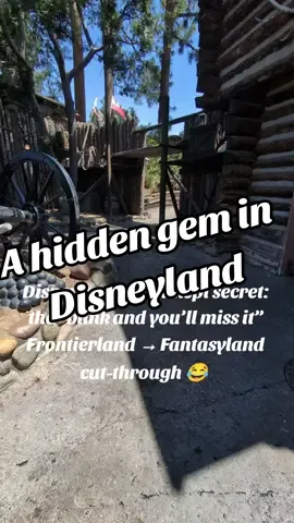 ✨Disneyland hack unlocked! ✨ Skip the crowds with the little-known side path that connects Frontierland to Fantasyland—your secret shortcut to more magic and less waiting. 🚶‍♀️🌟 #DisneyTips #ParkHack #DisneylandMagic #TravelAgentLife #HiddenDisney 