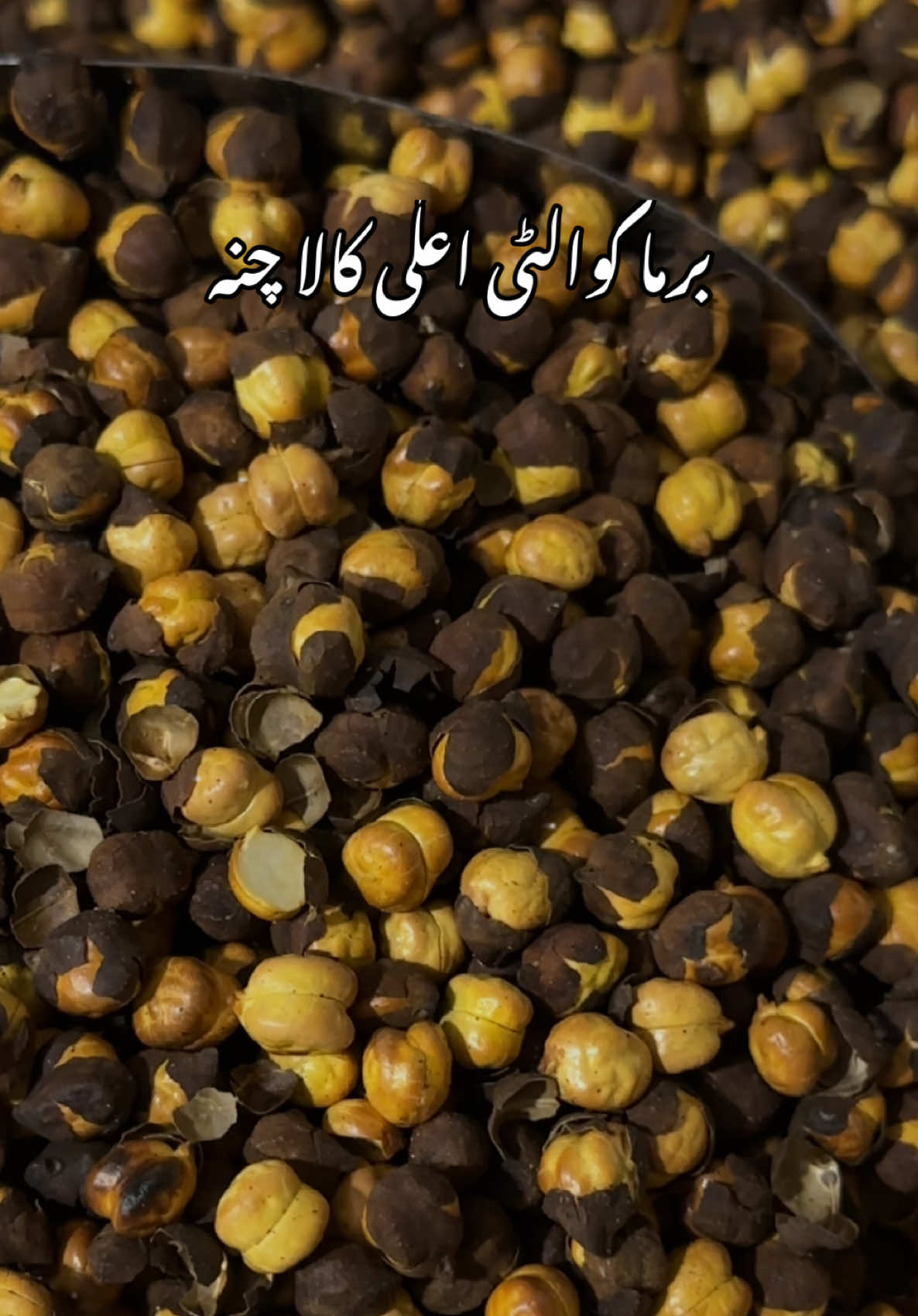 #creatorsearchinsights #iqbaldryfruitstimergara 