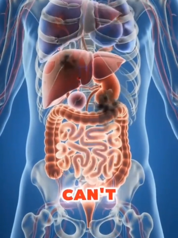 Fayyaa Kalee keessaan Eeggadha. oro health tips. keep your health of kidney. #oromotiktok #oromo #oro #oromotiktok❤️💚❤️ethiopiantiktok #creatorsearchinsights @Rache Tesfaye @Mina mul @Desta Hinsarmu Official @Hirkoo @Gorsaa Ogeessaa @Gorsaa Ogeessaa @Gorsaa Ogeessaa 