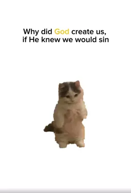#jesus #viral #fyp #cats #gospel 
