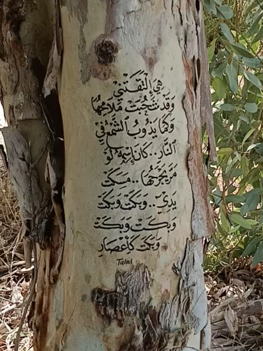 وقد شحبت ملامحها كاظم الساهر #شعر #اغنية #العراق #زراعة #موسيقى 