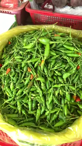 ớt xiêm xanh rừng cay thơm đặc biệt#ớt 