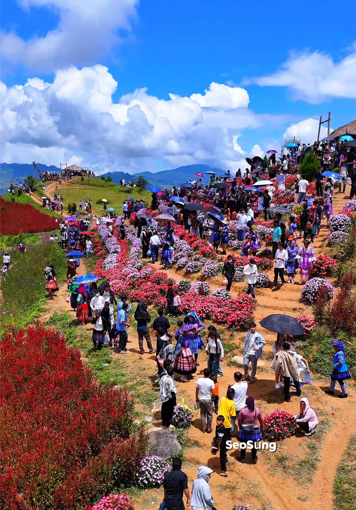 Thảo Nguyên Suôi Thầu 02/09/2025 .#nkaujhmoob #taybac #dulich #canhdep #binhyen 
