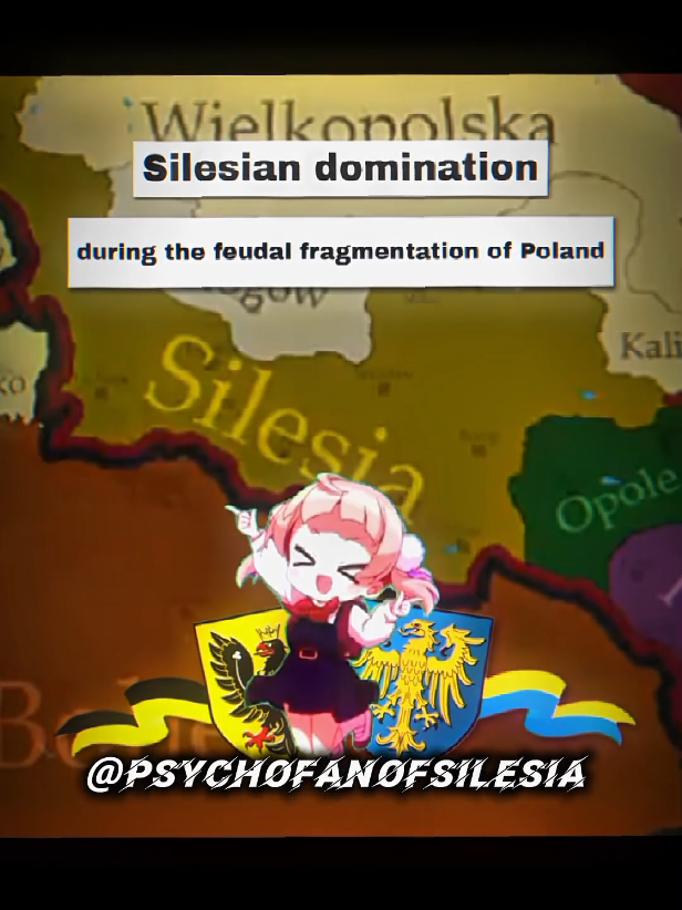 Ślōnsk 🦁💪 #Silesia #edit #HistoryTime #viral #fyp 